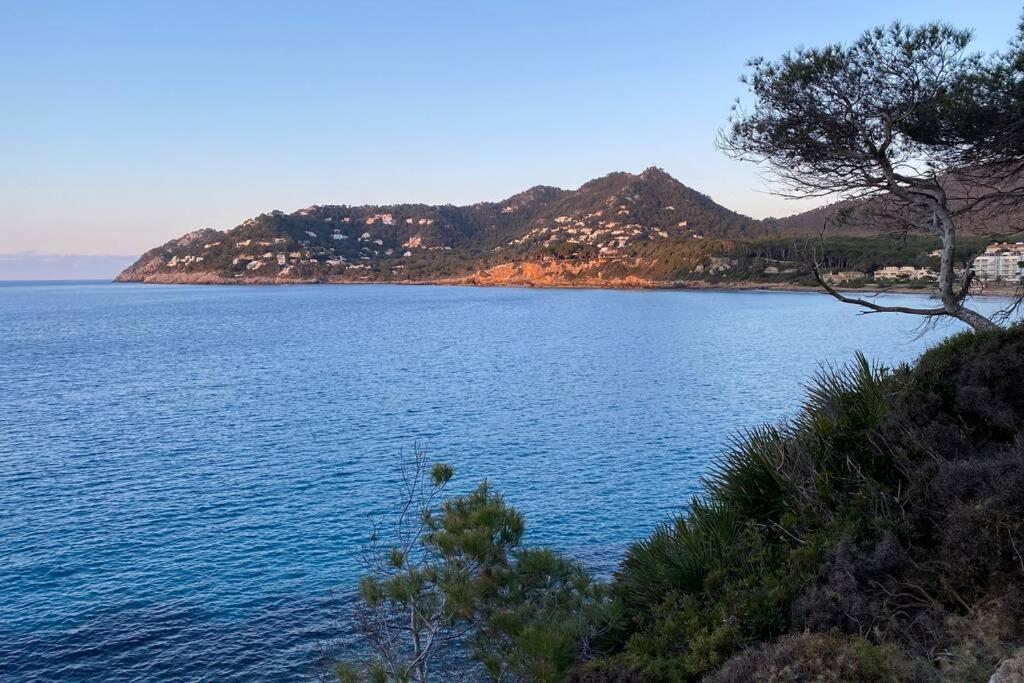 Sunny Apartment 1B With Balcony & Pool In Canyamel Capdepera  Eksteriør bilde